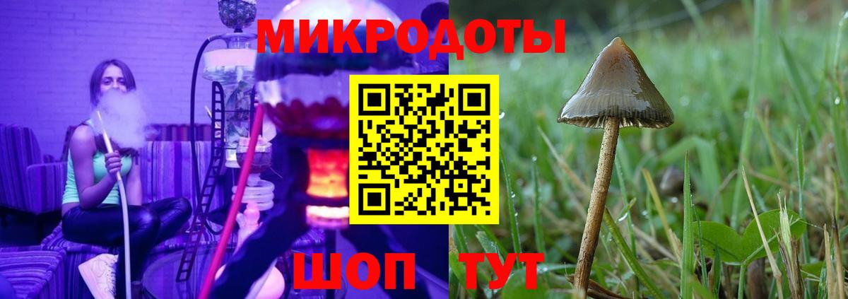 Галлюциногенные грибы прущие грибы  Вход с VPN  Псилоцибиновые грибы мицелий  Верхняя Пышма 